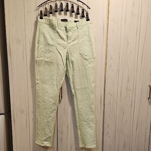 Banana Republic Women's Skinny Jeans in Light Green